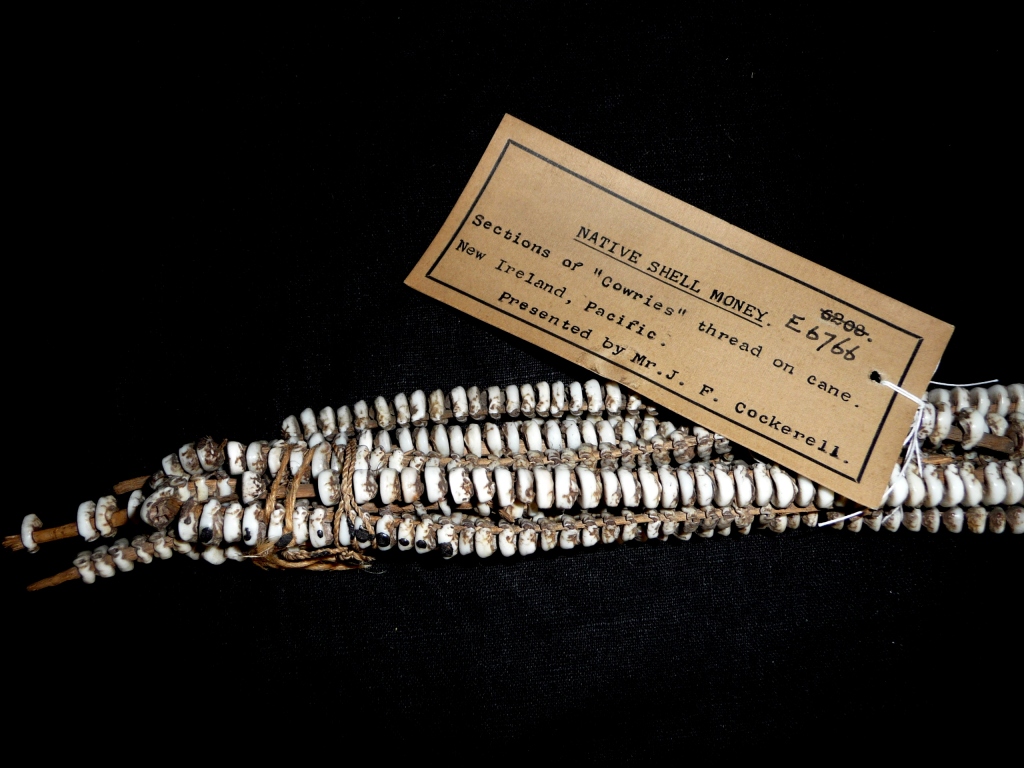 Strings of Seashell Currency, Cowrie - Queensland Museum - CC BY-SA 3.0